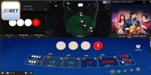 Cách Đánh Xóc Đĩa Chi Tiết Cụ Thể, Bật Mí Từ Z8bet