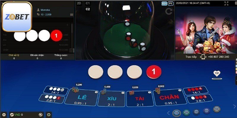 Cách Đánh Xóc Đĩa Chi Tiết Cụ Thể, Bật Mí Từ Z8bet