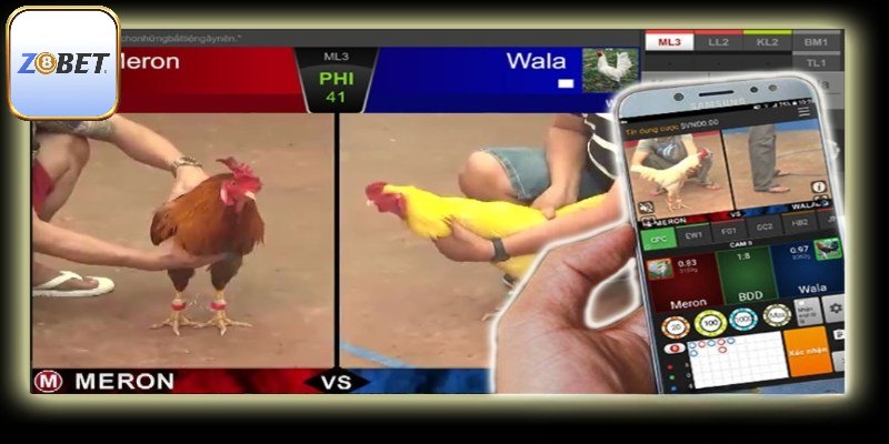 Định nghĩa cụ thể nhất về đá gà live 