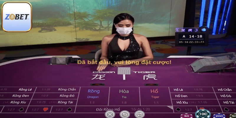 Luật chơi Rồng hổ chi tiết
