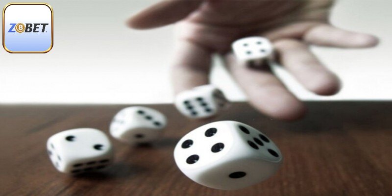 Sai lầm cần tránh khi chơi xóc đĩa tại Z8bet