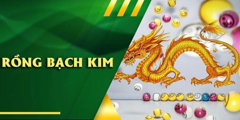 Tìm hiểu về soi cầu rồng bạch kim cho tân binh